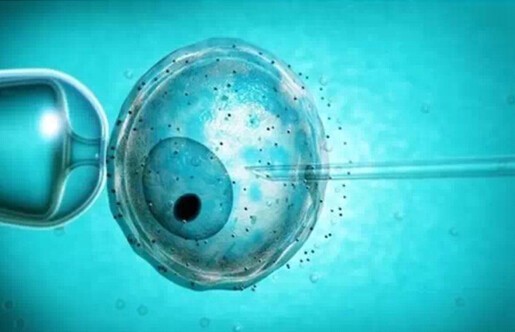 只用较差的2个4bc囊胚做试管婴儿的成功率是多少