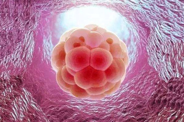 试管婴儿冷冻胚胎移植第六天可以检测吗？胚胎着床的症状会帮助你怀孕