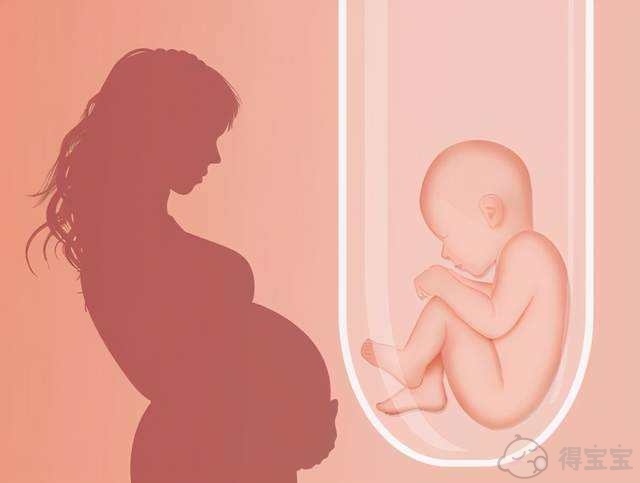 自然受孕的孩子和试管婴儿的孩子之间有什么区别？