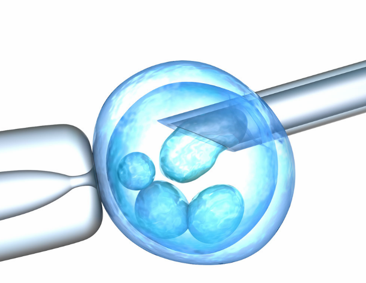 试管婴儿治疗的秘密是什么，可以帮助胚胎植入？